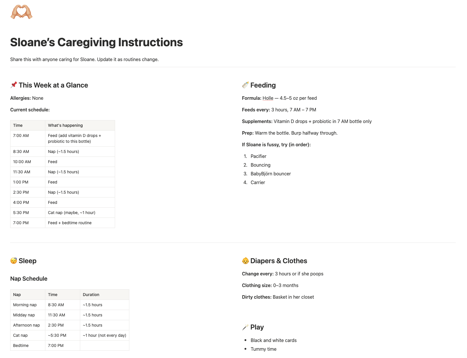 Caregiving Instructions page preview from the Mom Life Operating System Notion template